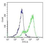 TLR4 Monoclonal Antibody (HTA125)