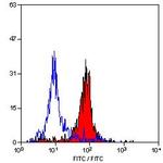 CD31 Antibody in Flow Cytometry (Flow)