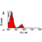 CD20 Antibody in Flow Cytometry (Flow)