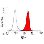 CEACAM1/CEACAM3/CEACAM6 Monoclonal Antibody (YTH71.3)