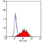 CD25 Antibody in Flow Cytometry (Flow)