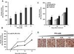 Hepatitis C Virus Core Antigen Antibody in Immunohistochemistry (IHC)