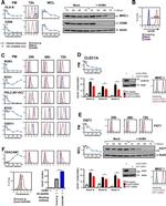 Cytomegalovirus IE 72 kDa Antigen Antibody in Flow Cytometry (Flow)