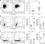 Cytokeratin Pan Type I/II Antibody in Flow Cytometry (Flow)