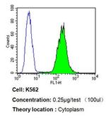 PDI Antibody in Flow Cytometry (Flow)
