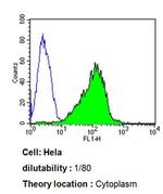 CYP3A7 Antibody in Flow Cytometry (Flow)