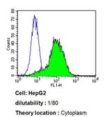 CYP3A7 Antibody in Flow Cytometry (Flow)