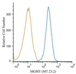 MGMT Antibody in Flow Cytometry (Flow)
