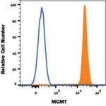 MGMT Antibody in Flow Cytometry (Flow)