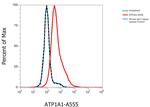 ATP1A1 Antibody in Flow Cytometry (Flow)