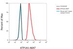 ATP1A1 Antibody in Flow Cytometry (Flow)