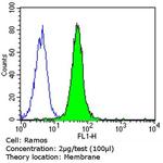Human IgA (Heavy chain) Secondary Antibody in Flow Cytometry (Flow)