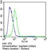 Rb Antibody in Flow Cytometry (Flow)
