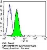 Rb Antibody in Flow Cytometry (Flow)