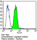 Rb Antibody in Flow Cytometry (Flow)