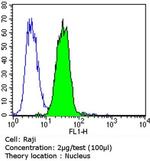 Rb Antibody in Flow Cytometry (Flow)