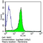 CD105 Antibody in Flow Cytometry (Flow)