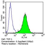CD105 Antibody in Flow Cytometry (Flow)