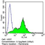 CD105 Antibody in Flow Cytometry (Flow)