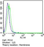 CD138 Antibody in Flow Cytometry (Flow)
