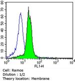 CD138 Antibody in Flow Cytometry (Flow)