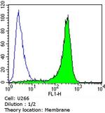 CD138 Antibody in Flow Cytometry (Flow)