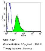 p53 Antibody in Flow Cytometry (Flow)