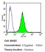 p53 Antibody in Flow Cytometry (Flow)
