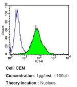 p53 Antibody in Flow Cytometry (Flow)