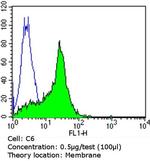CD56 Antibody in Flow Cytometry (Flow)