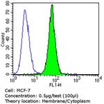 ErbB4 Antibody in Flow Cytometry (Flow)
