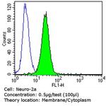 ErbB4 Antibody in Flow Cytometry (Flow)