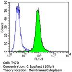ErbB4 Antibody in Flow Cytometry (Flow)