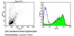 CD99 Antibody in Flow Cytometry (Flow)
