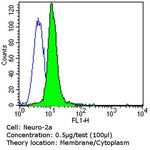 ErbB4 Antibody in Flow Cytometry (Flow)