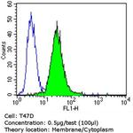 ErbB4 Antibody in Flow Cytometry (Flow)