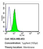ErbB2 (HER-2) Antibody in Flow Cytometry (Flow)