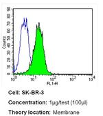 ErbB2 (HER-2) Antibody in Flow Cytometry (Flow)