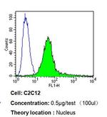 Ku70 Antibody in Flow Cytometry (Flow)
