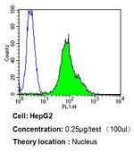 Ku70 Antibody in Flow Cytometry (Flow)