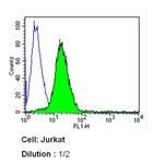 CD5 Antibody in Flow Cytometry (Flow)