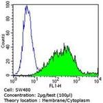 NGFR Antibody in Flow Cytometry (Flow)
