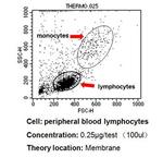 CD26 Antibody in Flow Cytometry (Flow)