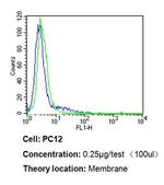 CD26 Antibody in Flow Cytometry (Flow)