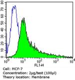 CEA Antibody in Flow Cytometry (Flow)