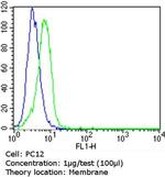 CEA Antibody in Flow Cytometry (Flow)