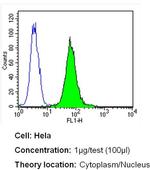 ERCC1 Antibody in Flow Cytometry (Flow)