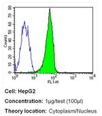 ERCC1 Antibody in Flow Cytometry (Flow)