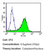 ERCC1 Antibody in Flow Cytometry (Flow)