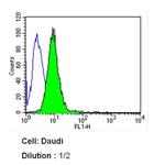 CD10 Antibody in Flow Cytometry (Flow)